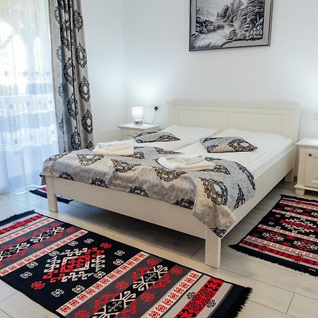 Hotel Casa Alexandru - Locul In Care Te Simti Acasa Viseu de Jos Exteriér fotografie