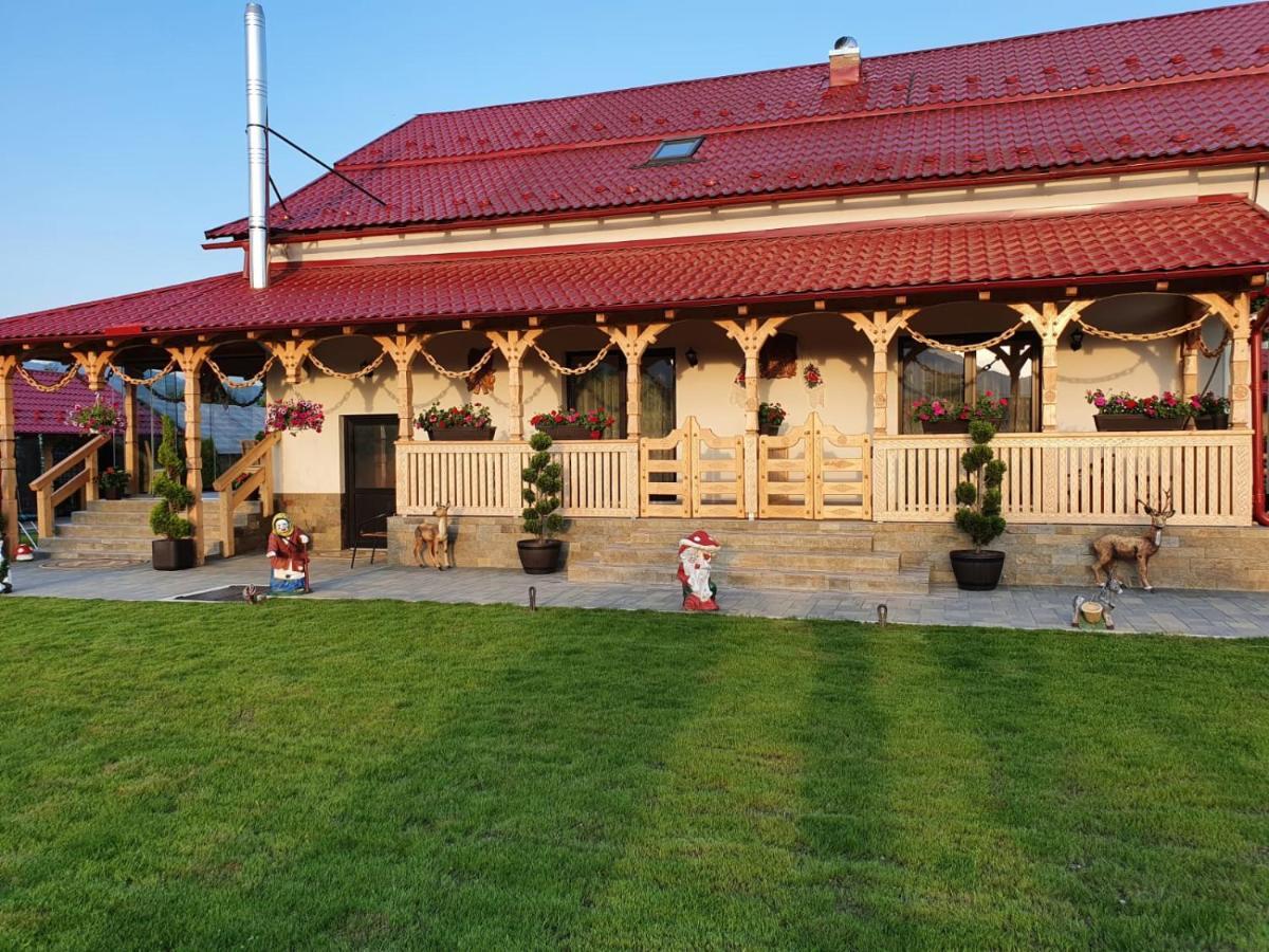 Hotel Casa Alexandru - Locul In Care Te Simti Acasa Viseu de Jos Exteriér fotografie