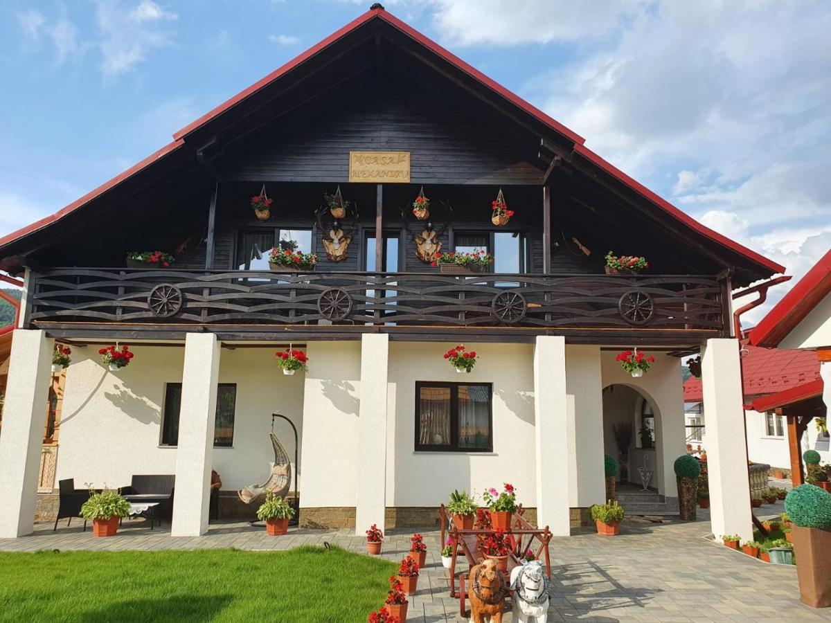 Hotel Casa Alexandru - Locul In Care Te Simti Acasa Viseu de Jos Exteriér fotografie