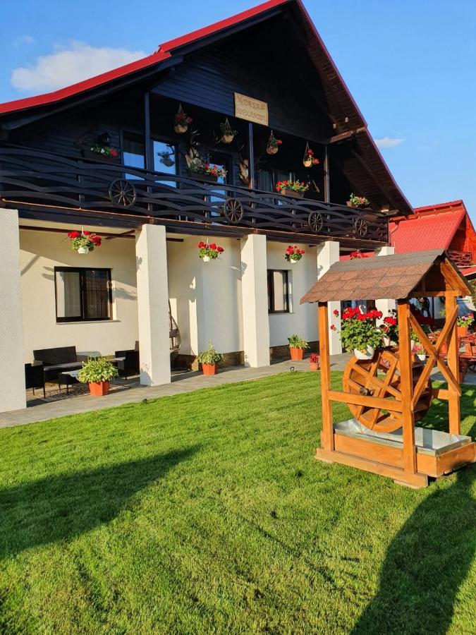 Hotel Casa Alexandru - Locul In Care Te Simti Acasa Viseu de Jos Exteriér fotografie