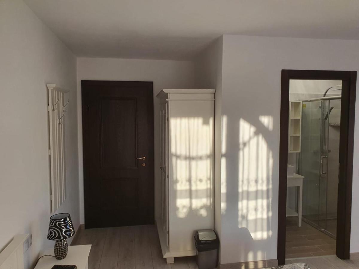 Hotel Casa Alexandru - Locul In Care Te Simti Acasa Viseu de Jos Exteriér fotografie
