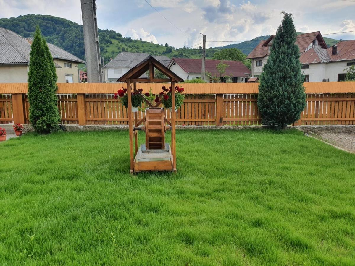 Hotel Casa Alexandru - Locul In Care Te Simti Acasa Viseu de Jos Exteriér fotografie