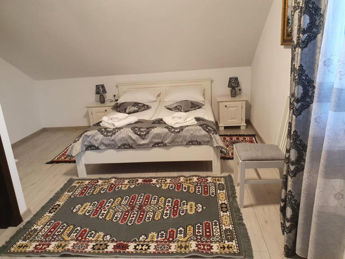 Hotel Casa Alexandru - Locul In Care Te Simti Acasa Viseu de Jos Exteriér fotografie