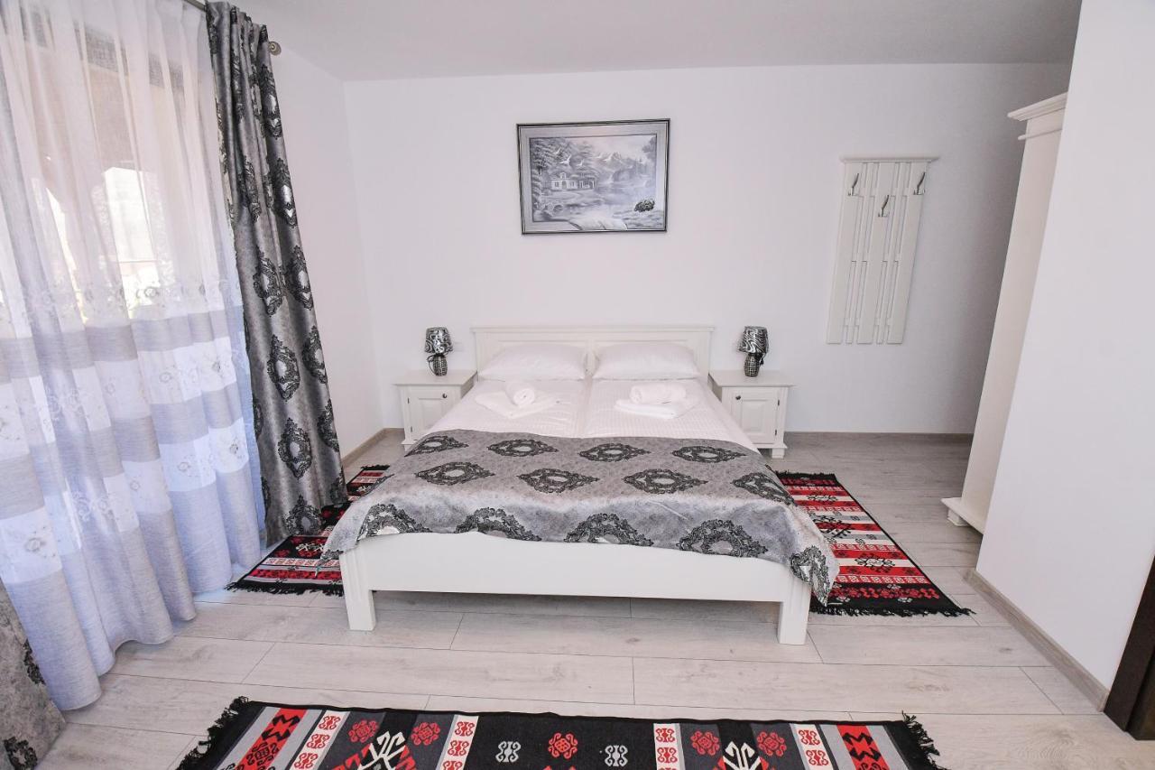 Hotel Casa Alexandru - Locul In Care Te Simti Acasa Viseu de Jos Exteriér fotografie