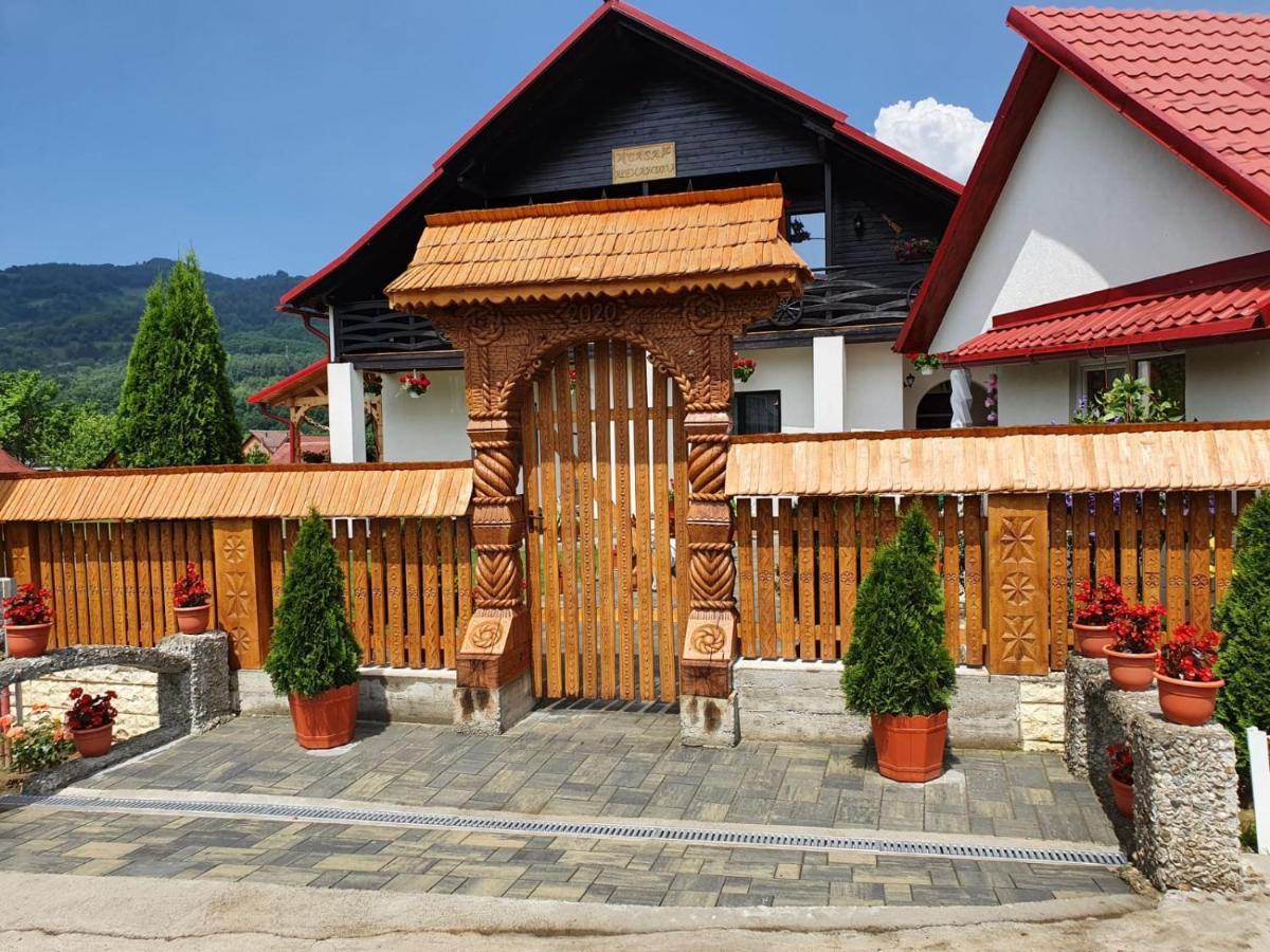 Hotel Casa Alexandru - Locul In Care Te Simti Acasa Viseu de Jos Exteriér fotografie